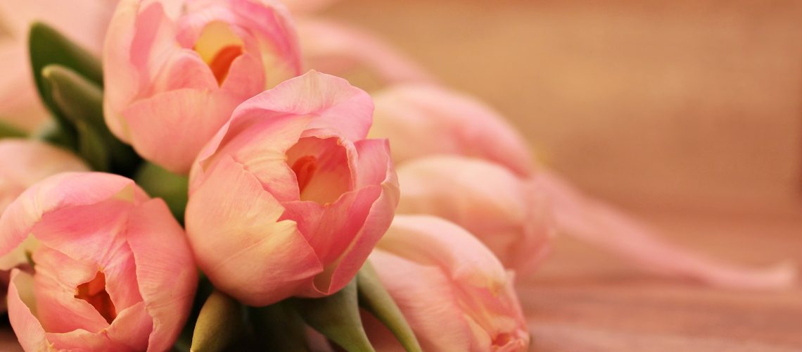 mothers day tulips